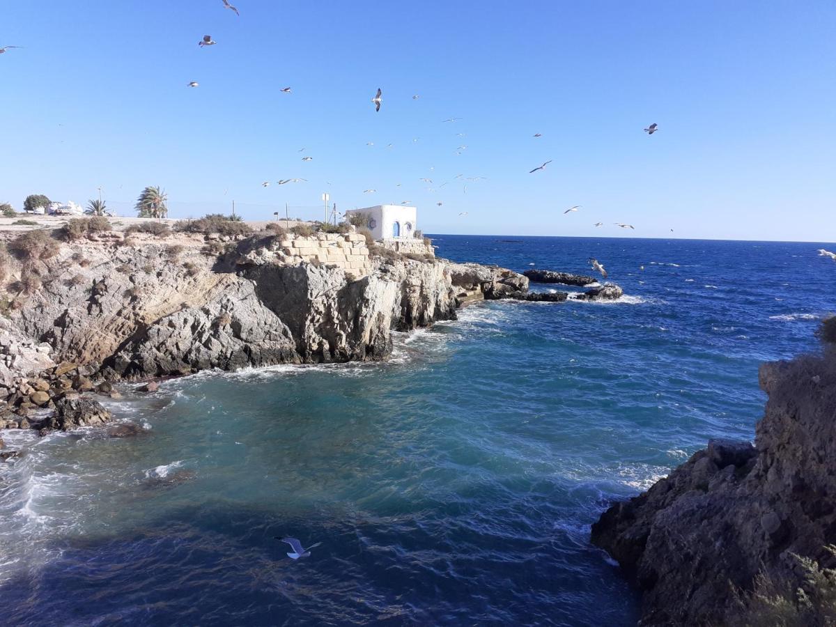 Apartamento Santa Pola, En Playa Del Tamarit Con Piscina. Dış mekan fotoğraf