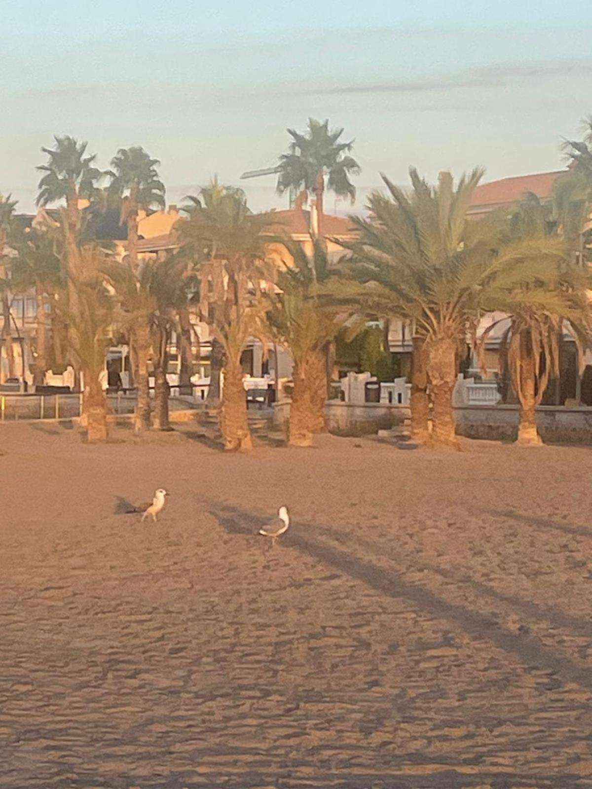 Apartamento Santa Pola, En Playa Del Tamarit Con Piscina. Dış mekan fotoğraf